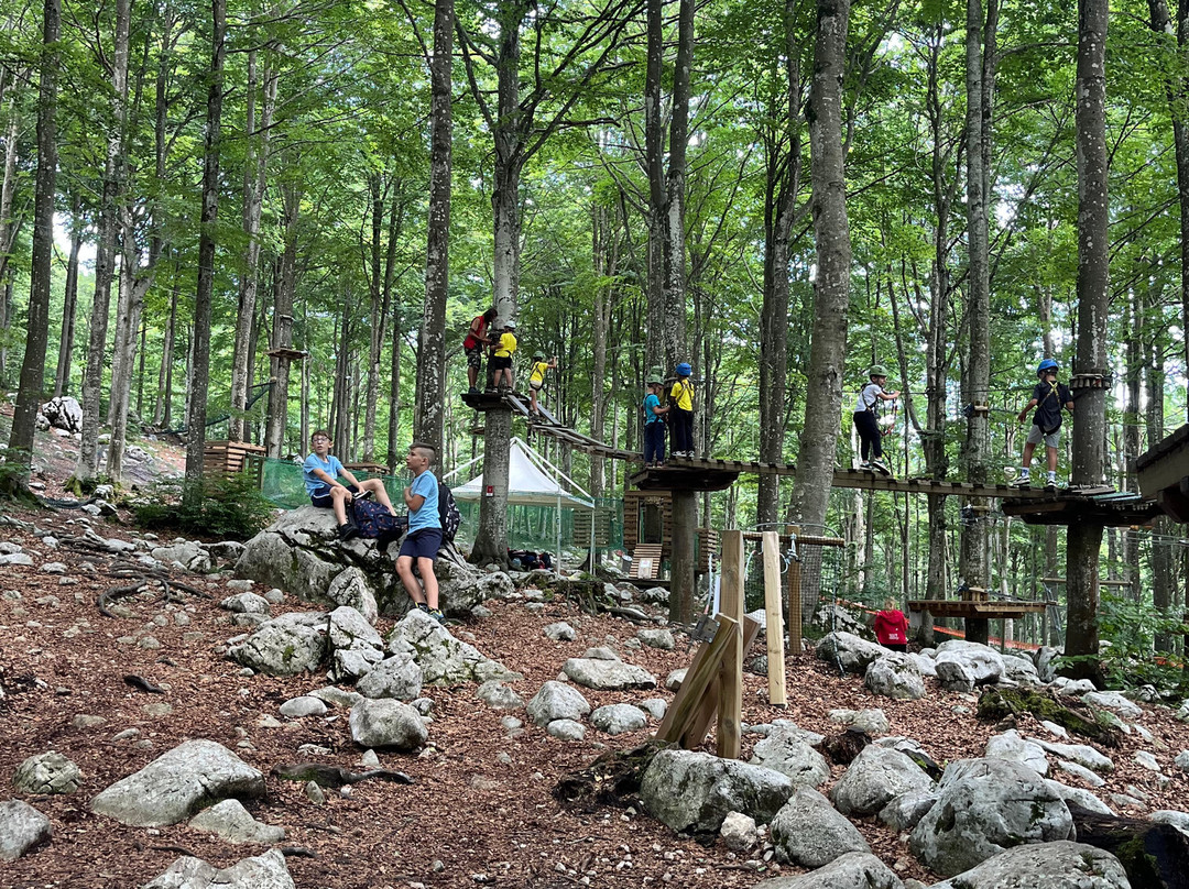 Rampy Park - Parco Acrobatico Forestale-Piancavallo必去景点