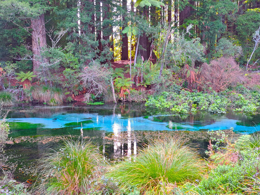 Hamurana Springs Nature Reserve-哈姆拉娜必去景点