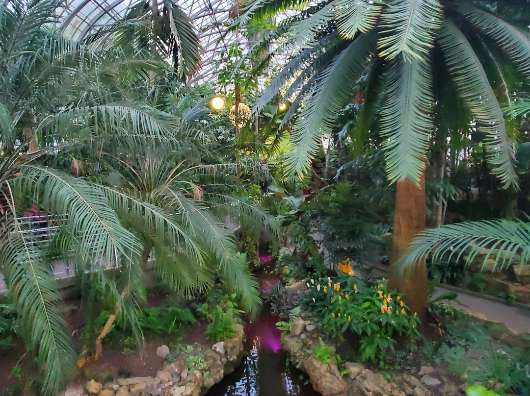 Krohn Conservatory-辛辛那提必去景点