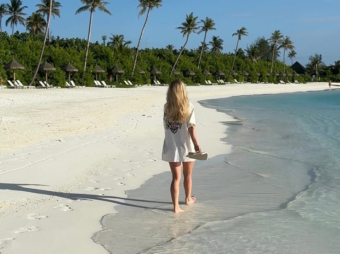 Joy Island Maldives by Cocoon Collection主图