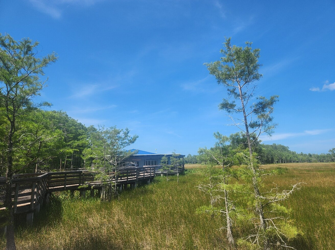 Grassy Waters Nature Preserve-西棕榈滩必去景点