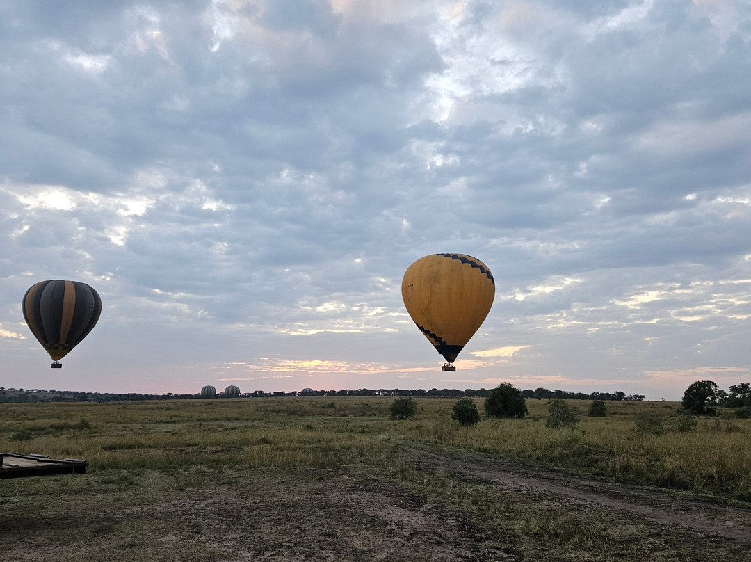 Nyssa Balloon Safaris-Seronera必去景点