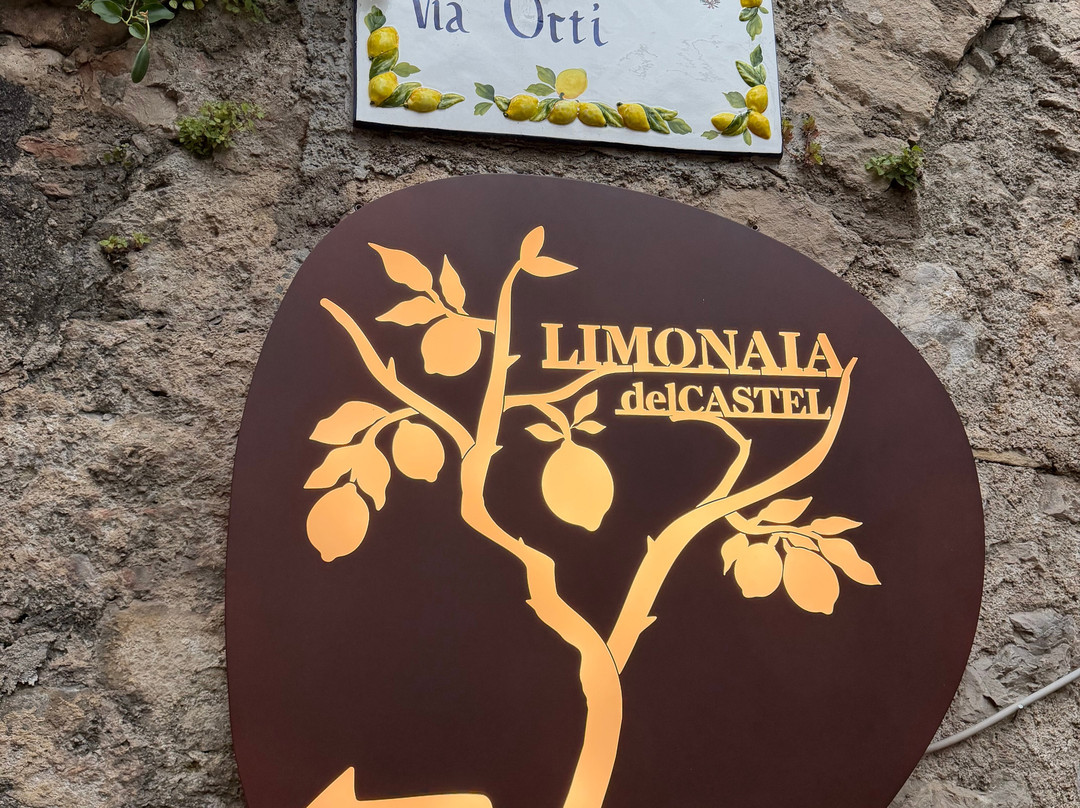 La Limonaia Del Castel-利莫内必去景点