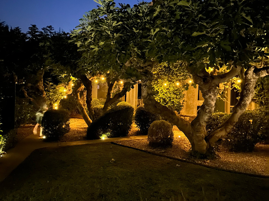 Bouches-du-Rhone酒店住宿-Hotel Sous les Figuiers