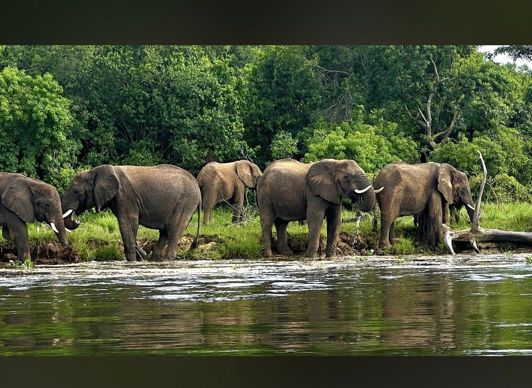 Ngoni Safaris Uganda-坎帕拉必去景点