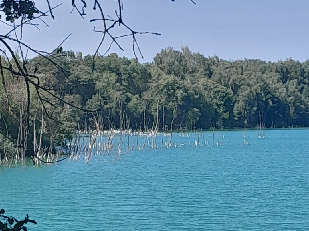 Parcs Maugrand et Saint Louis-蒙索莱米讷必去景点
