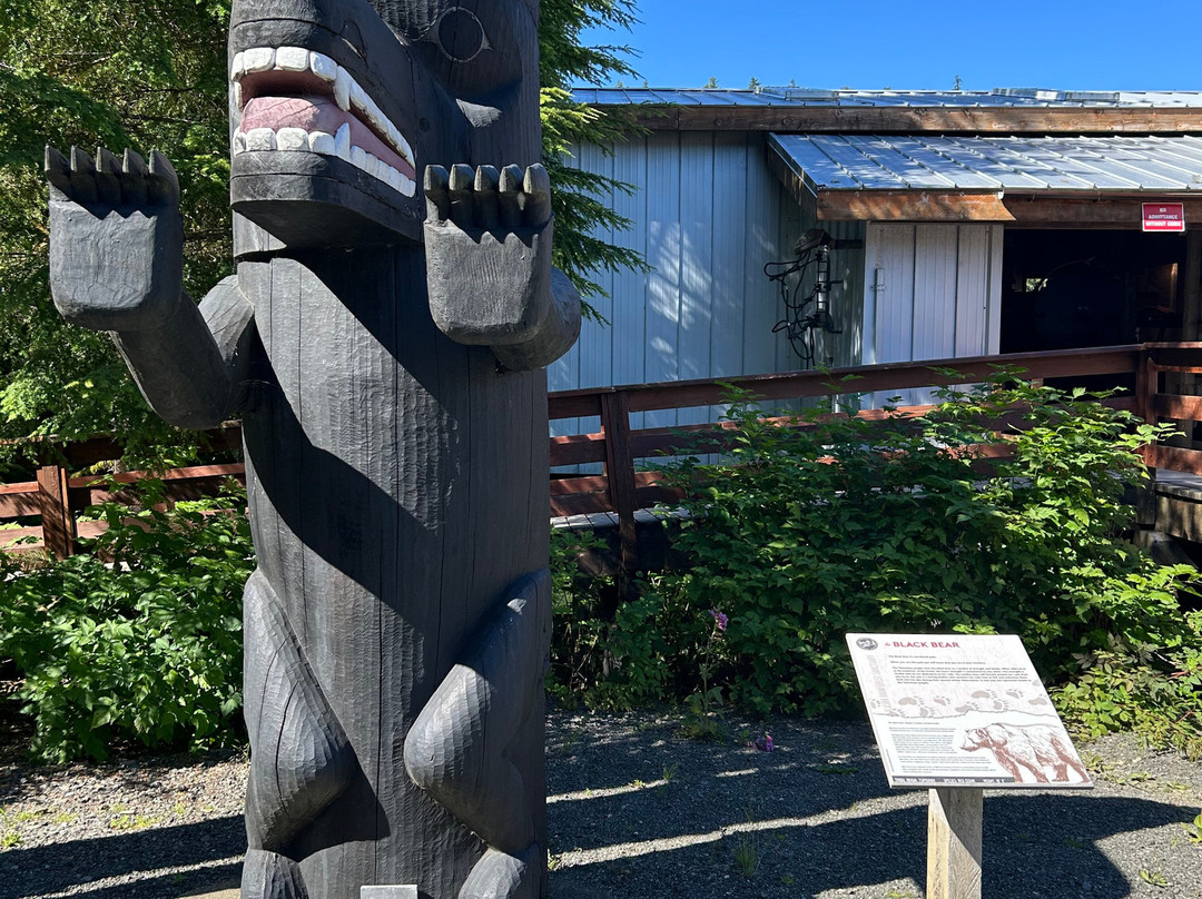 Alaska Rainforest Sanctuary-凯奇坎必去景点