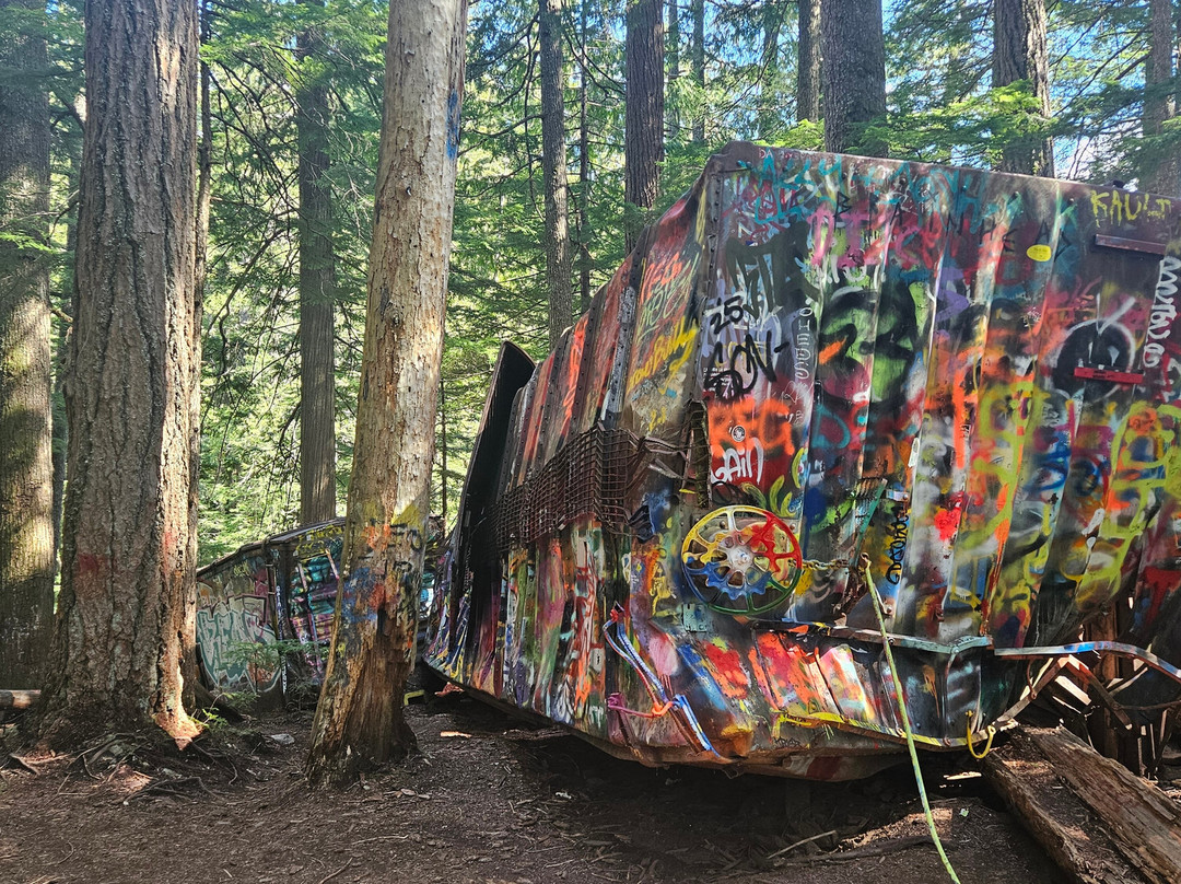 The Whistler Train Wreck Trail-惠斯勒必去景点