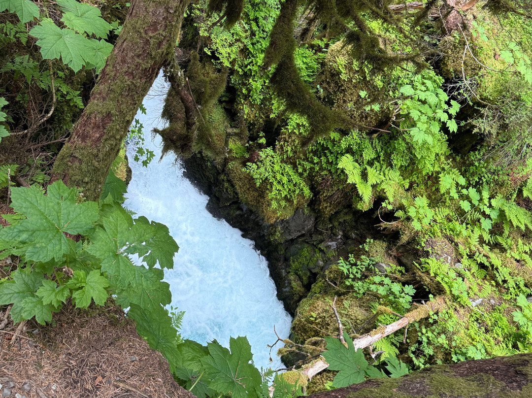 Virgin Creek Falls Trail-戈德伍德必去景点