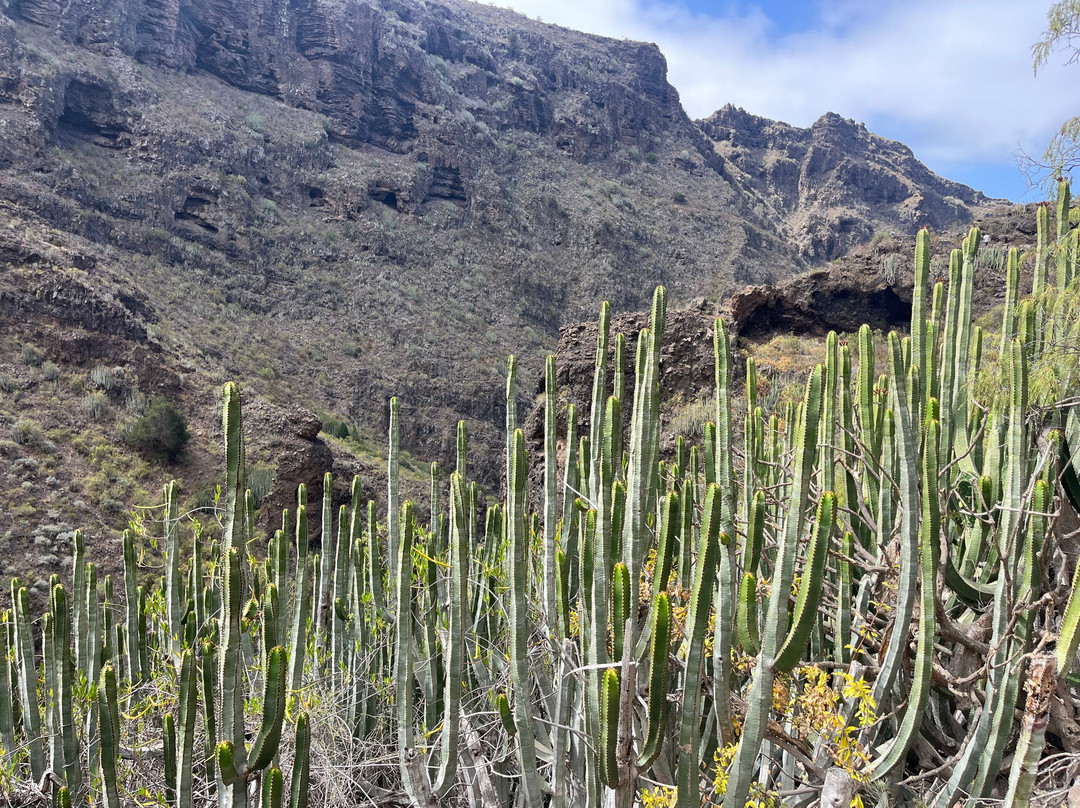 Barranco Del Infierno-奥德杰海岸必去景点