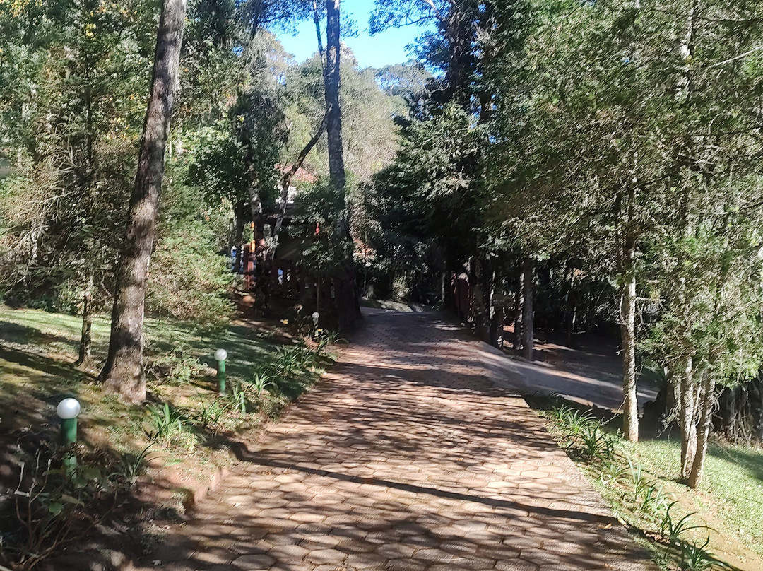 Araukaria Brazil - Monte Verde-蒙特贝尔德必去景点