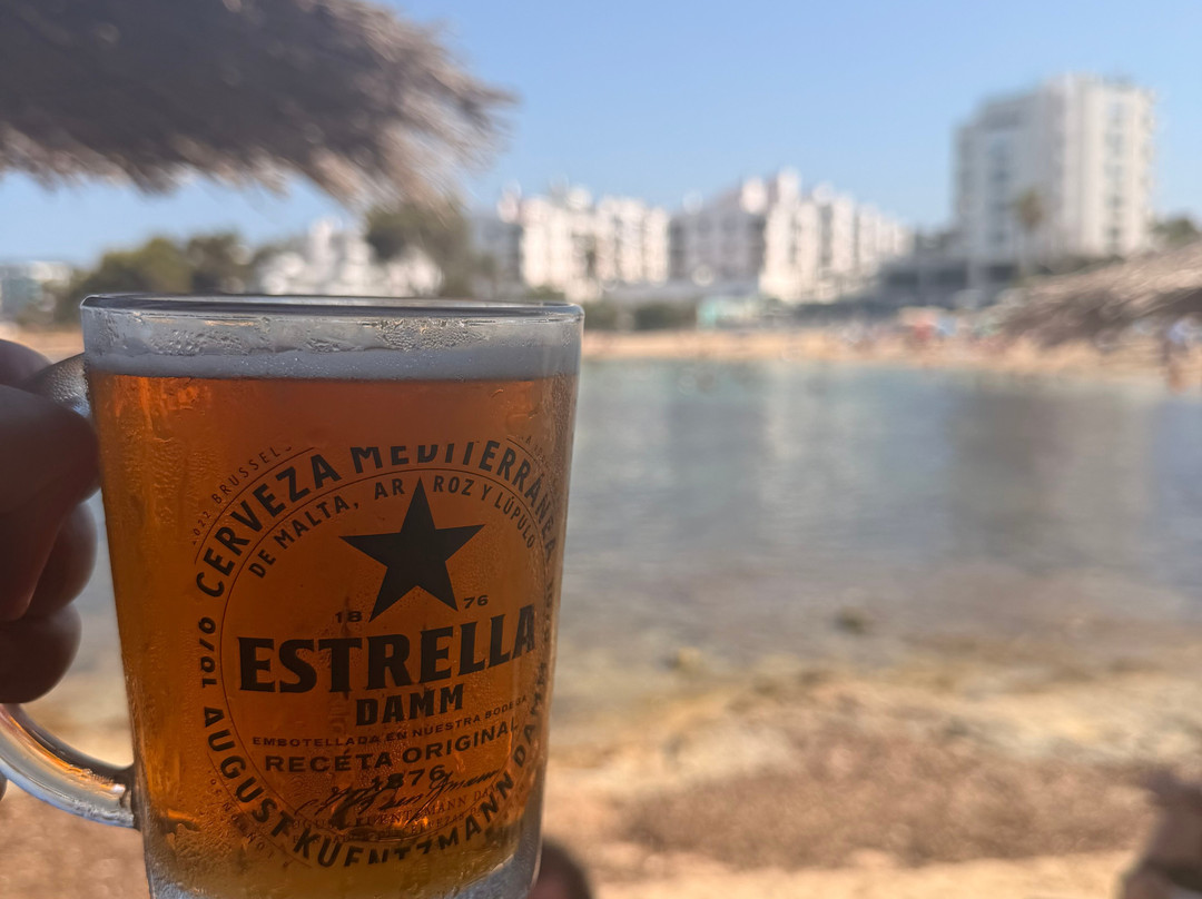 Reggae Reggae Beach Ibiza-桑特霍塞普德萨塔莱阿必去景点