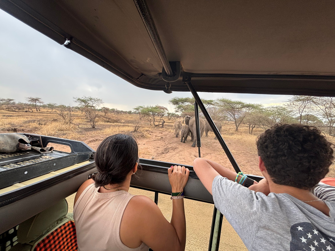 Northern Masailand Safaris-阿鲁沙必去景点