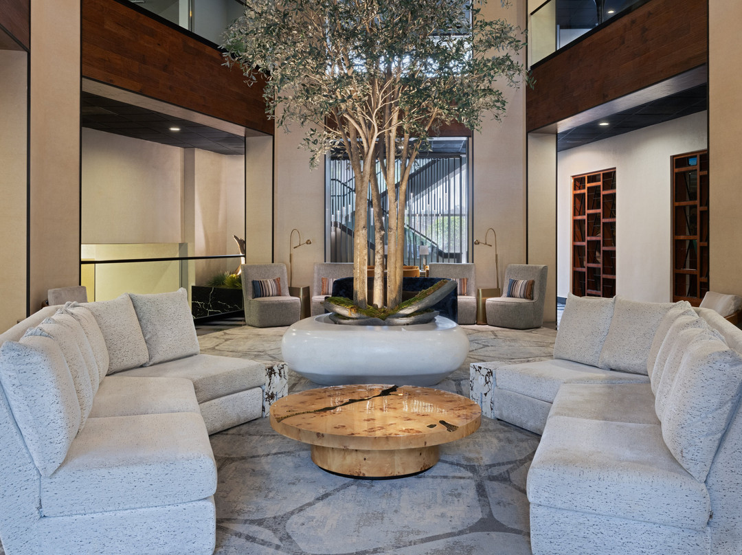 米逊维耶荷酒店住宿-voco Laguna Hills by IHG