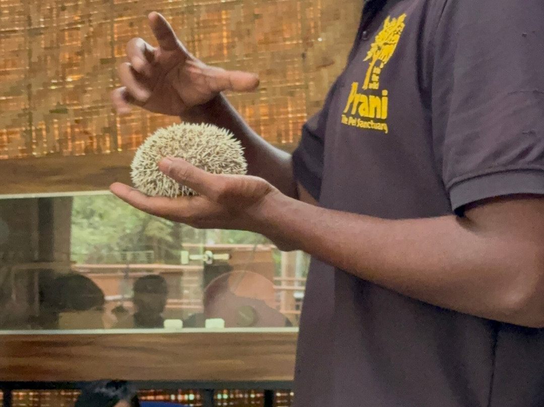 Prani, The Pet Sanctuary-班加罗尔必去景点