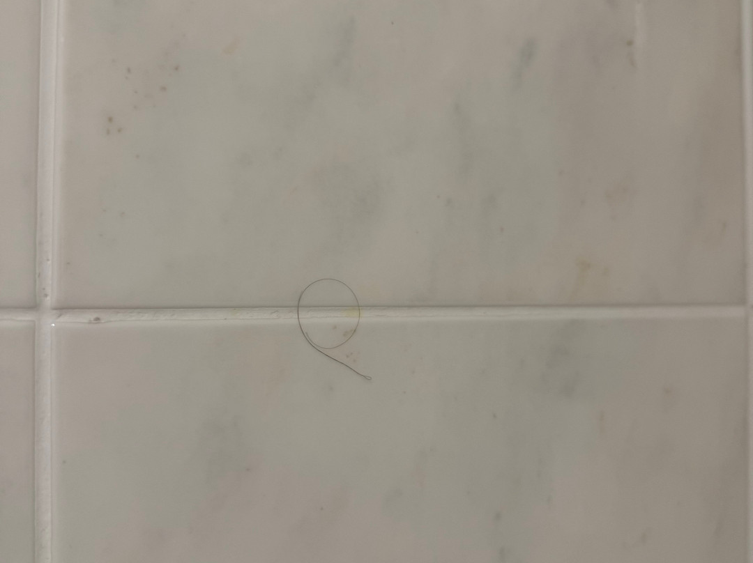 巴特米尔科特酒店主图