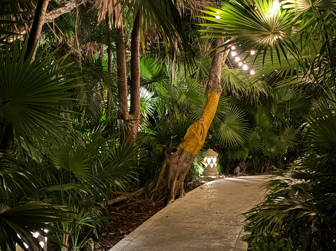 Iberostar Paraiso Beach主图