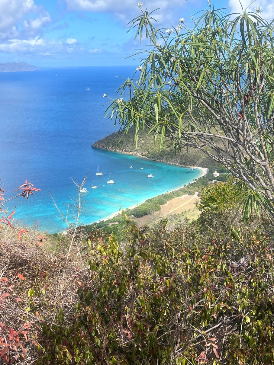 Guana Island-旅行者