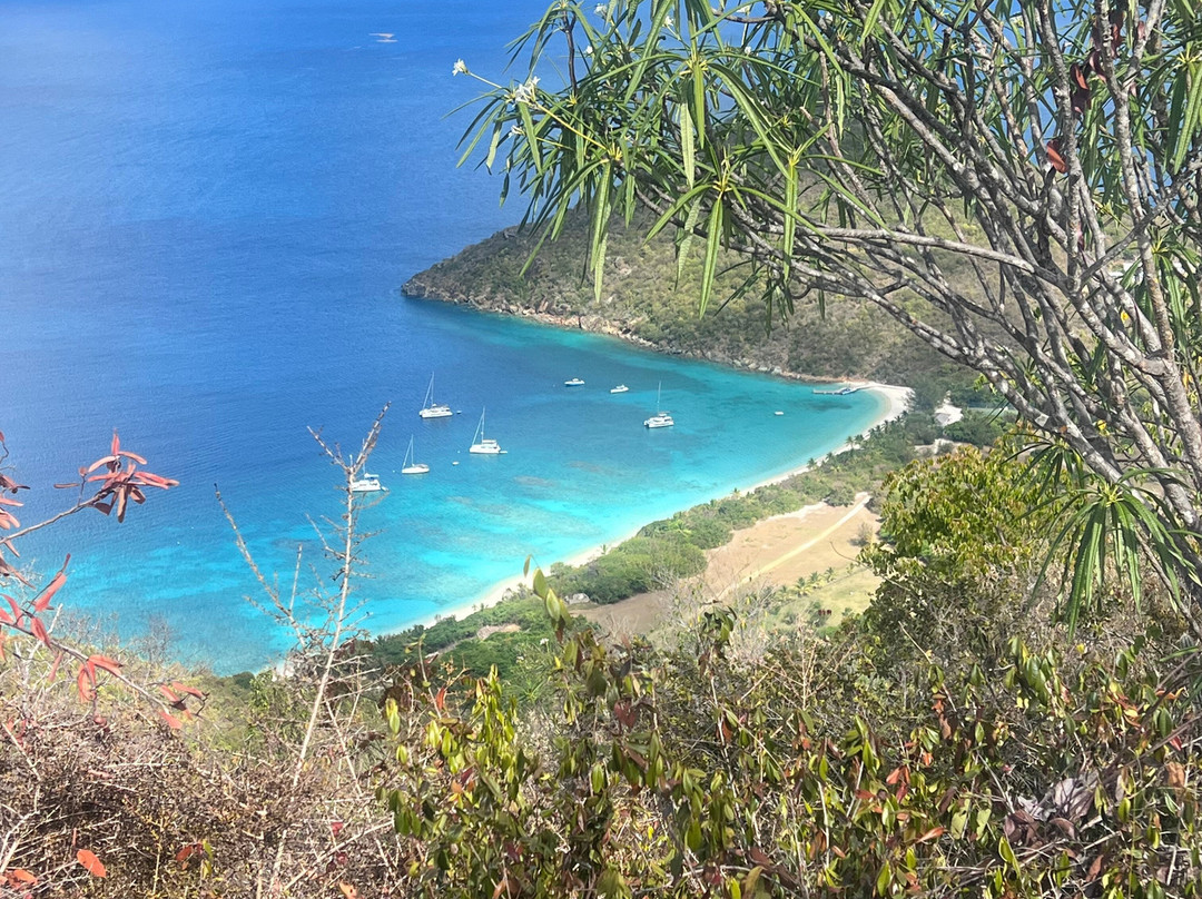 Guana Island主图