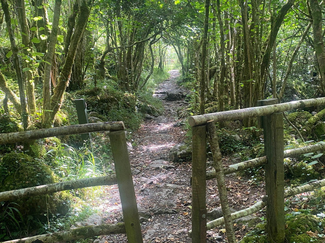 Lough Avalla Farm Looped Walk-Burren National Park必去景点