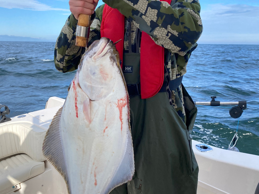 Virago Sound Sportfishing-Masset必去景点