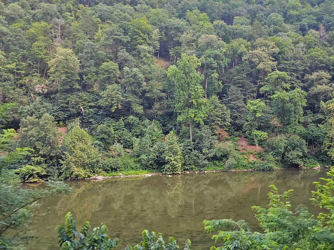 Potomac Eagle Scenic Railroad-Romney必去景点