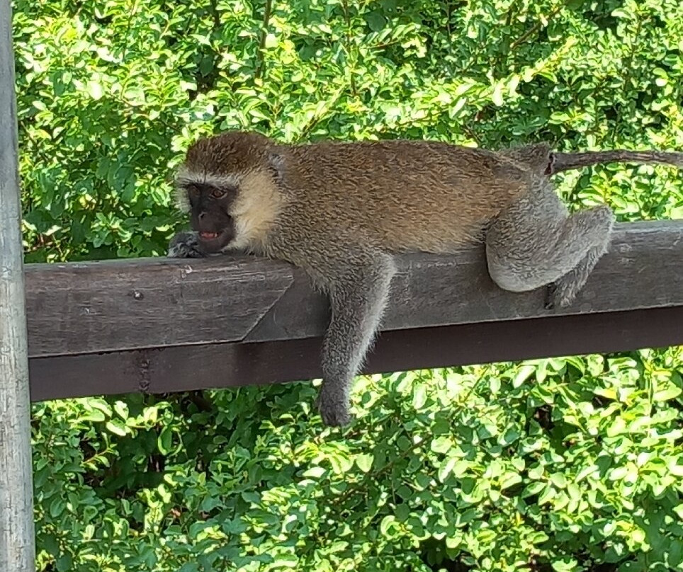 Queen Elizabeth National Park-Kasese必去景点