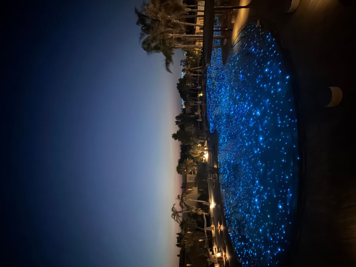 港口皇家别墅和温泉酒店-限成人-泳池