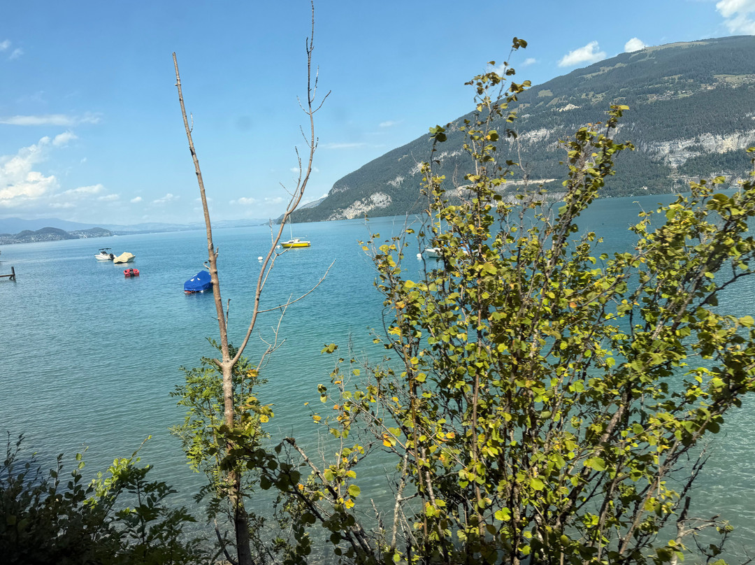 Lake Brienz-布里恩茨必去景点