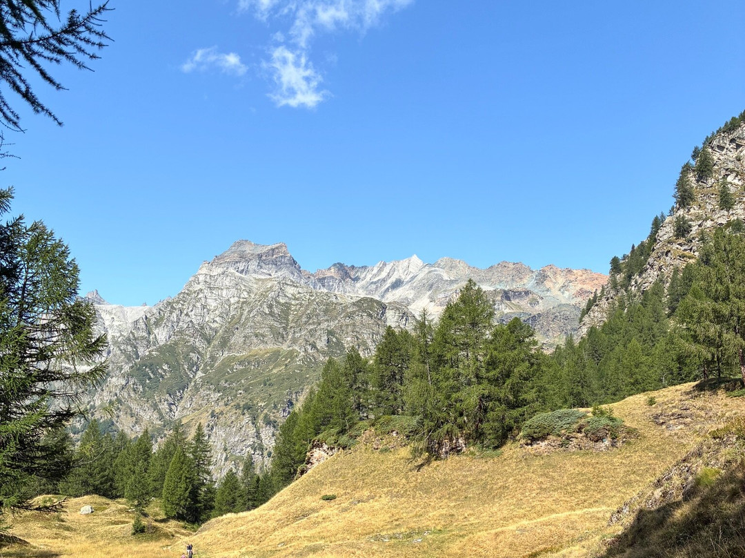 Lago delle Streghe-Alpe Devero必去景点