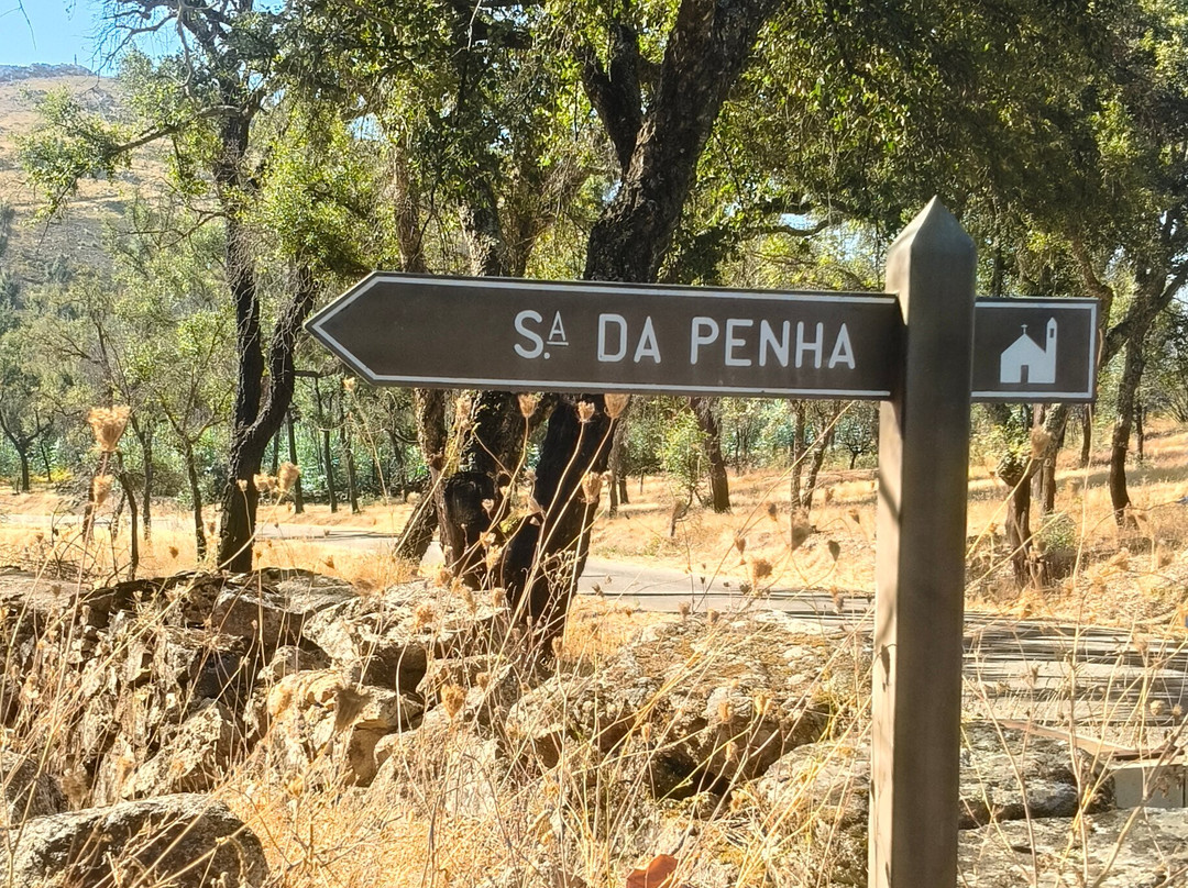 Igreja de Nossa Senhora da Penha-Castelo de Vide必去景点