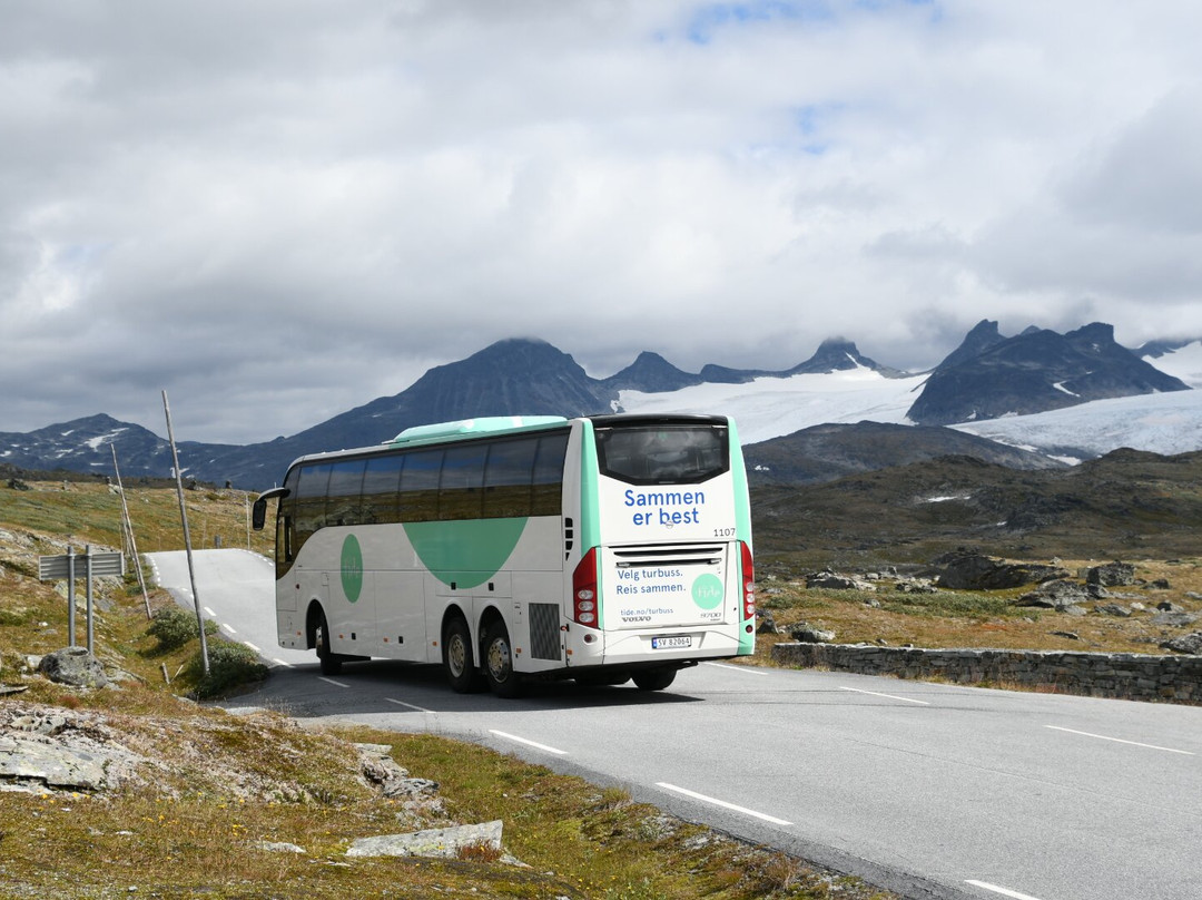 Sognefjellsvegen-Lom必去景点