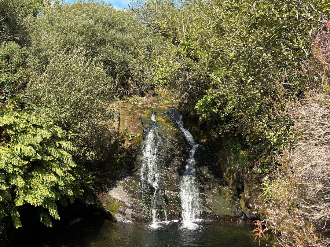 Waterfall Alpaca Farm-Drimoleague必去景点