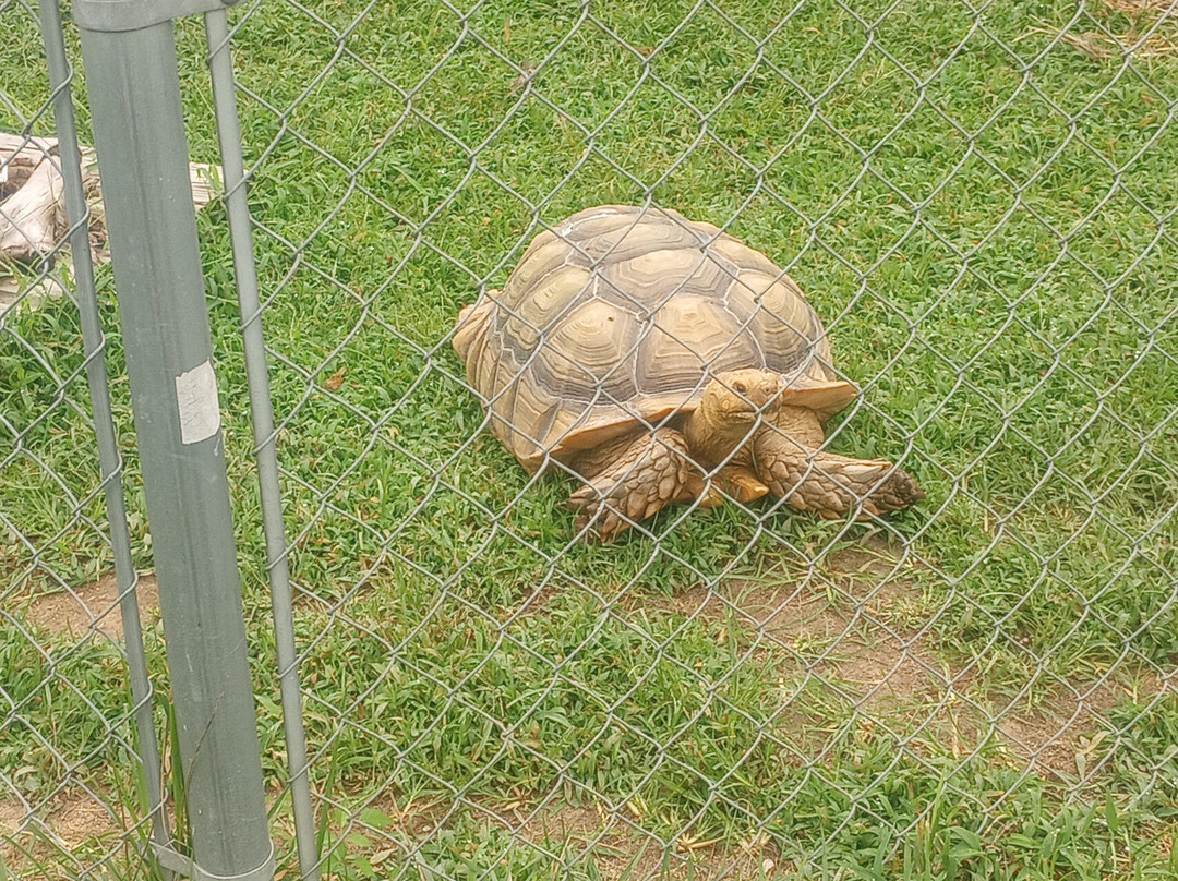 Animal Park NC-伯灵顿必去景点
