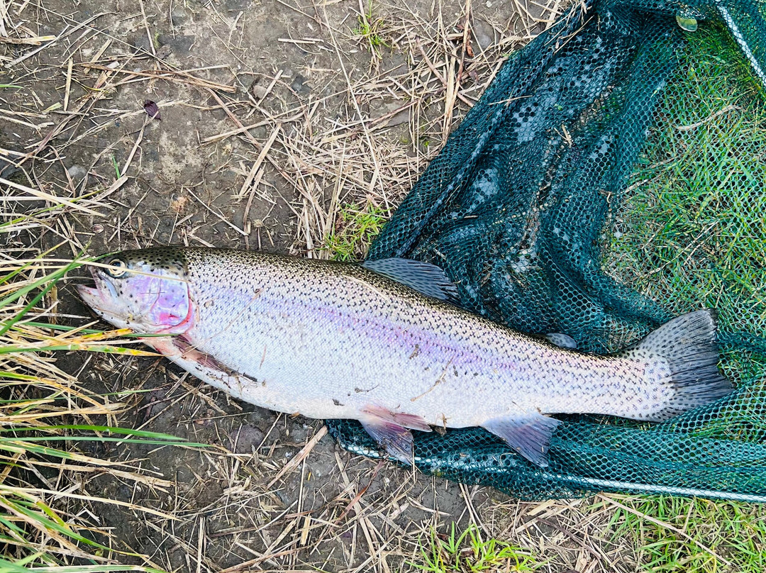 Craigluscar Fishery-丹弗姆林必去景点