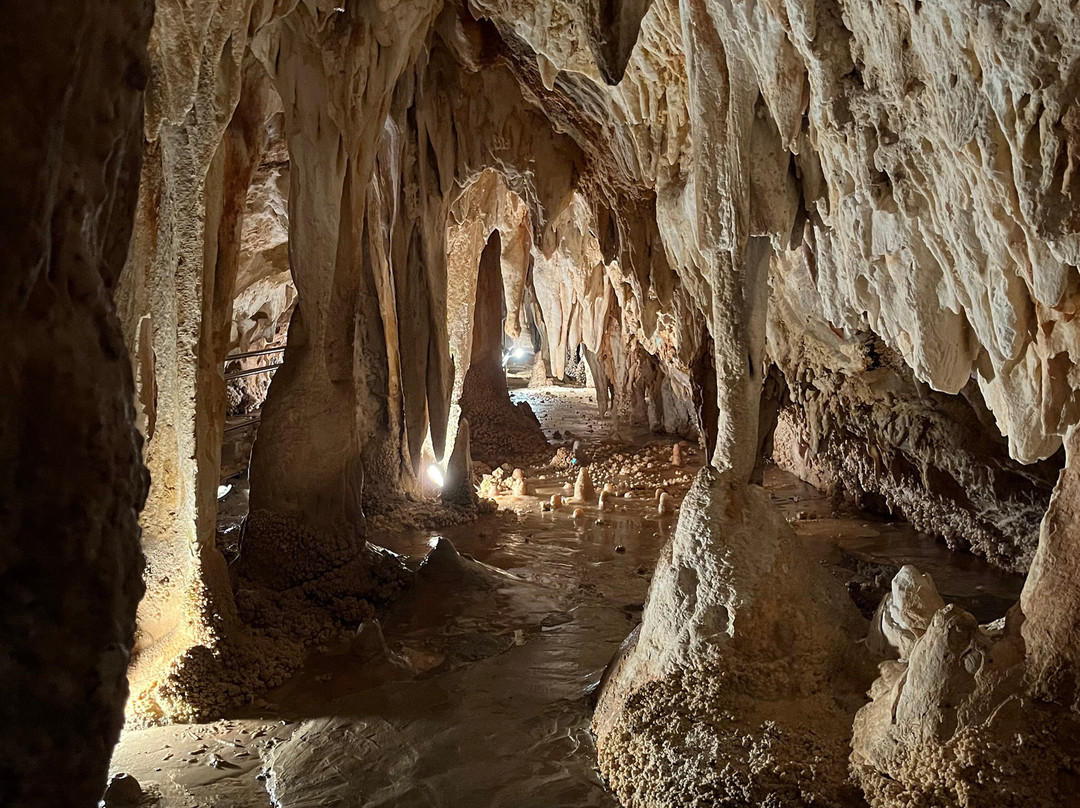 Grotte di Toirano-Toirano必去景点
