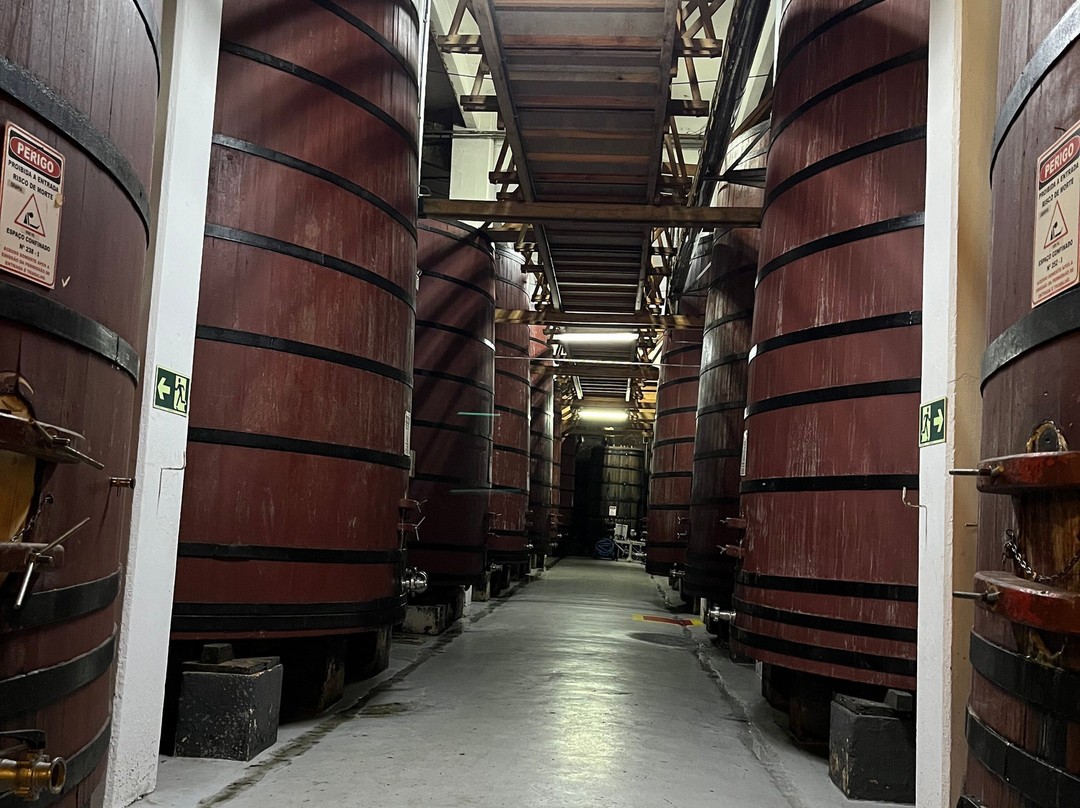 Aurora Winery-本图贡萨尔维斯必去景点