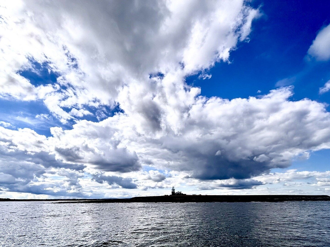 Amble boat trips-Amble必去景点