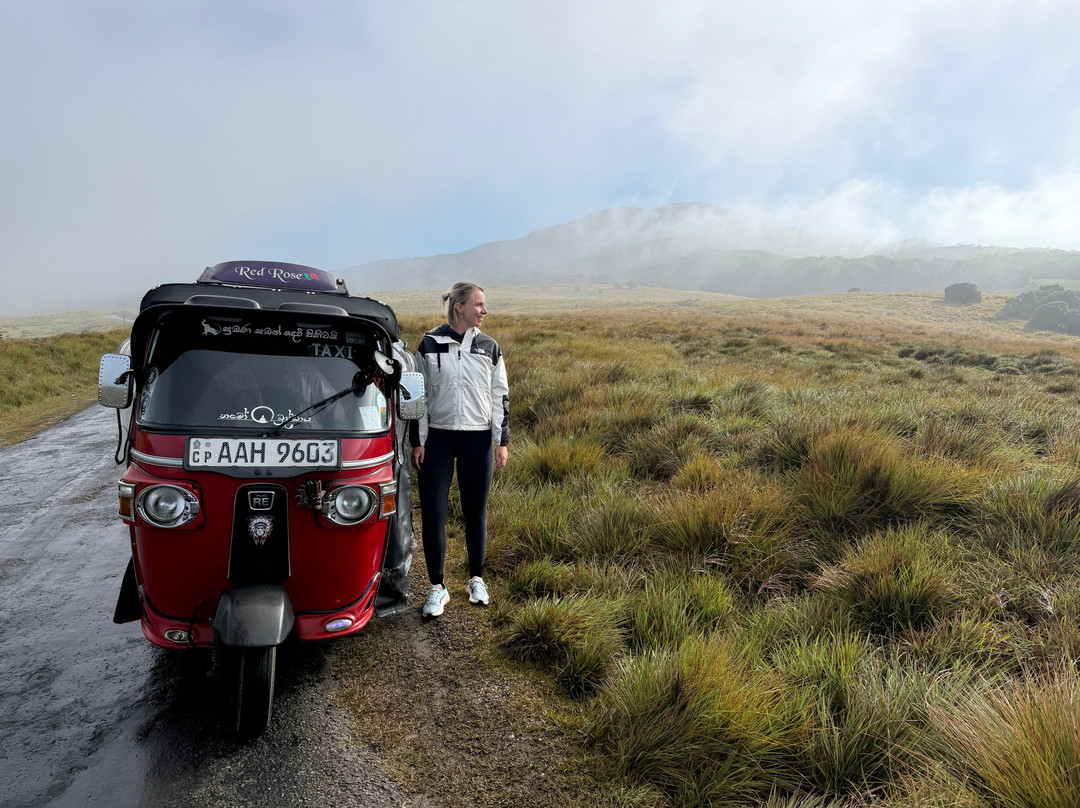 Andrews Eco Tours and Taxi-奴娃拉伊利雅必去景点