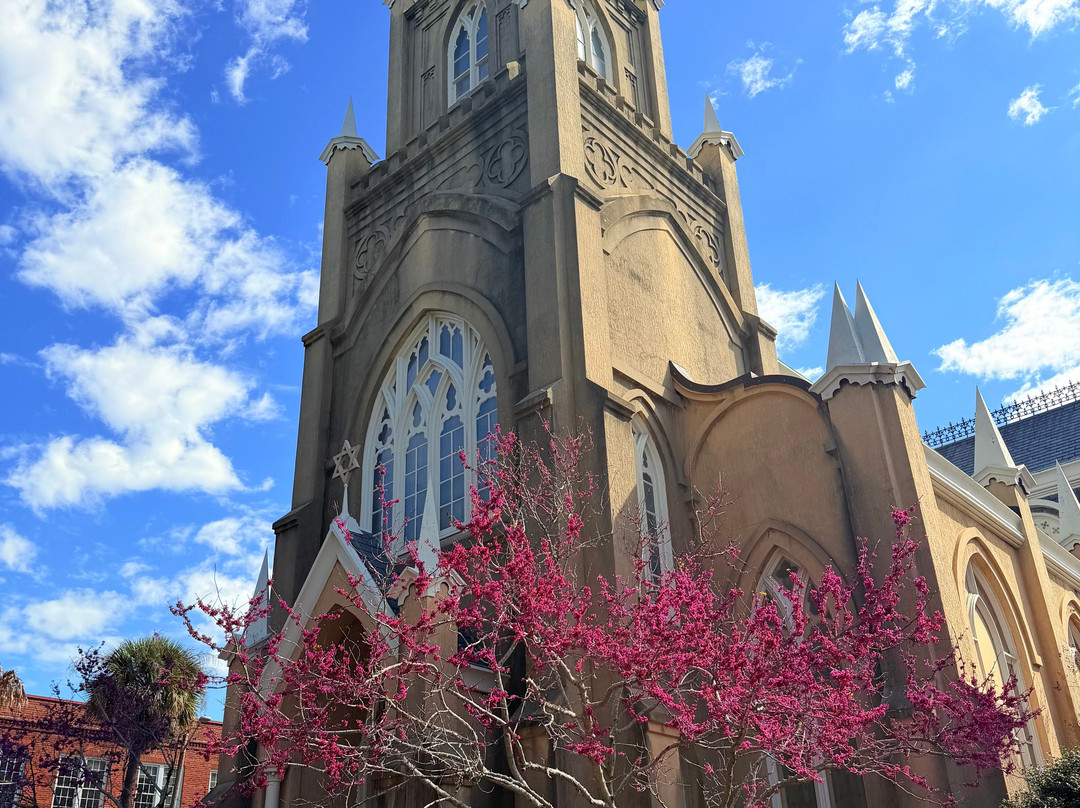 Congregation Mickve Israel-萨凡纳必去景点