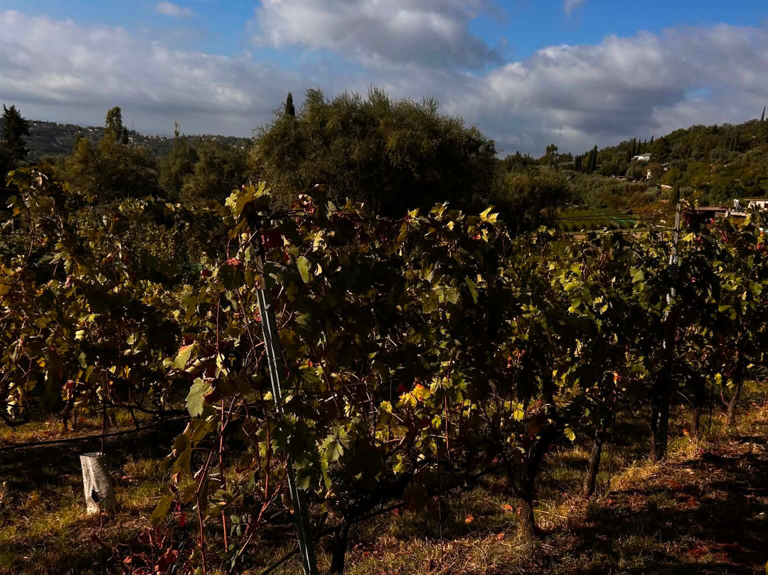Vignoble Rasse-Saint Jeannet必去景点