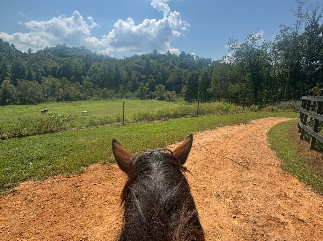 Appalachian Trail Rides-Mineral Bluff必去景点