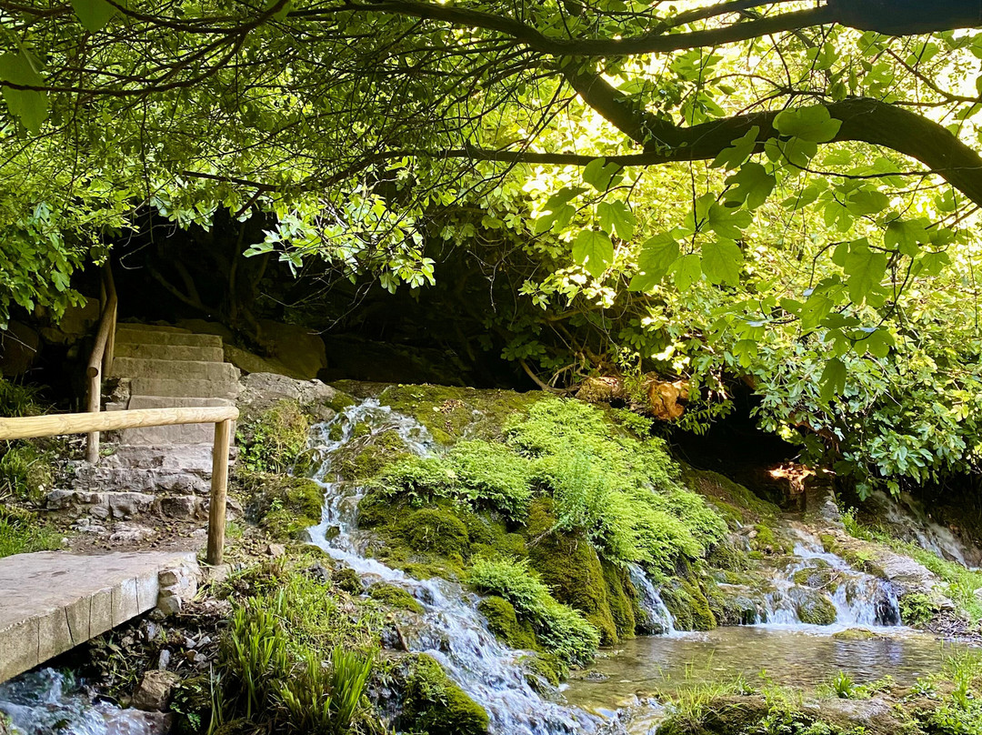 Bosque Encantado de Higueras-Pozo Alcon必去景点