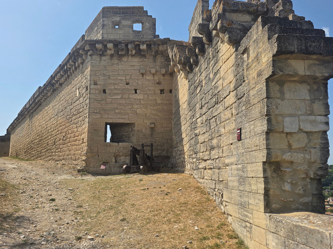 Fort Saint-andré-阿维尼翁新城必去景点