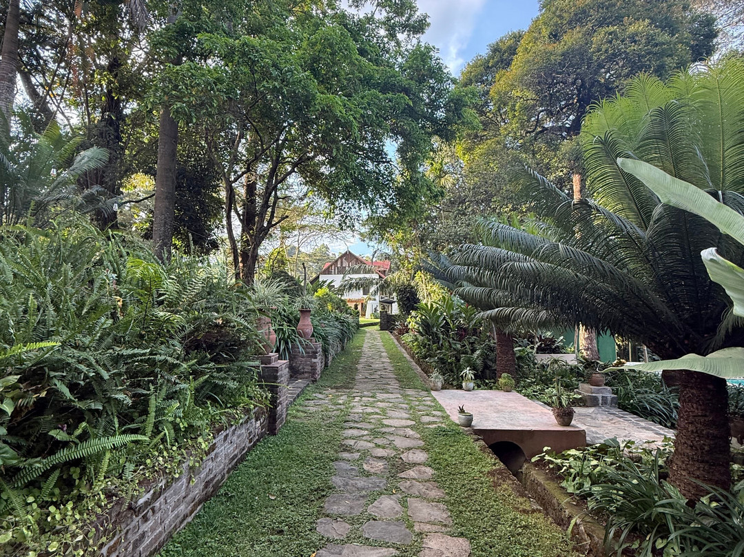 恩加塞洛山林小屋主图