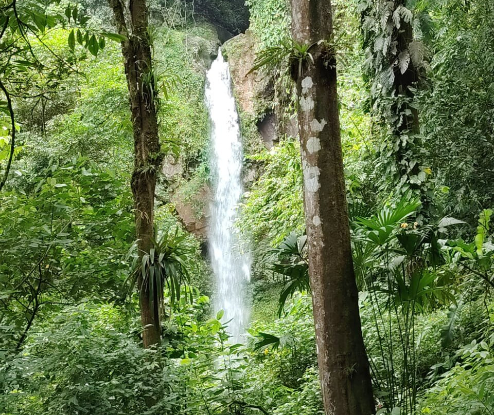 Villa Tavida Lodge & Spa主图