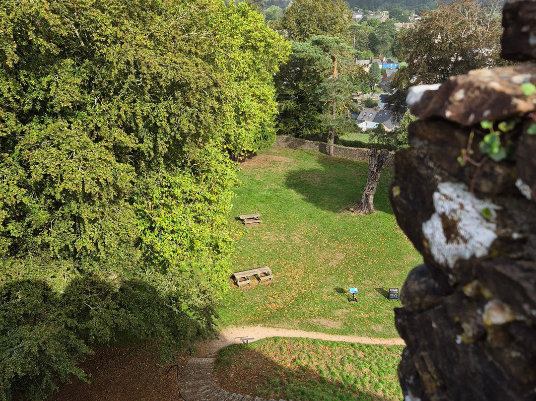 Totnes Castle-托特尼斯必去景点