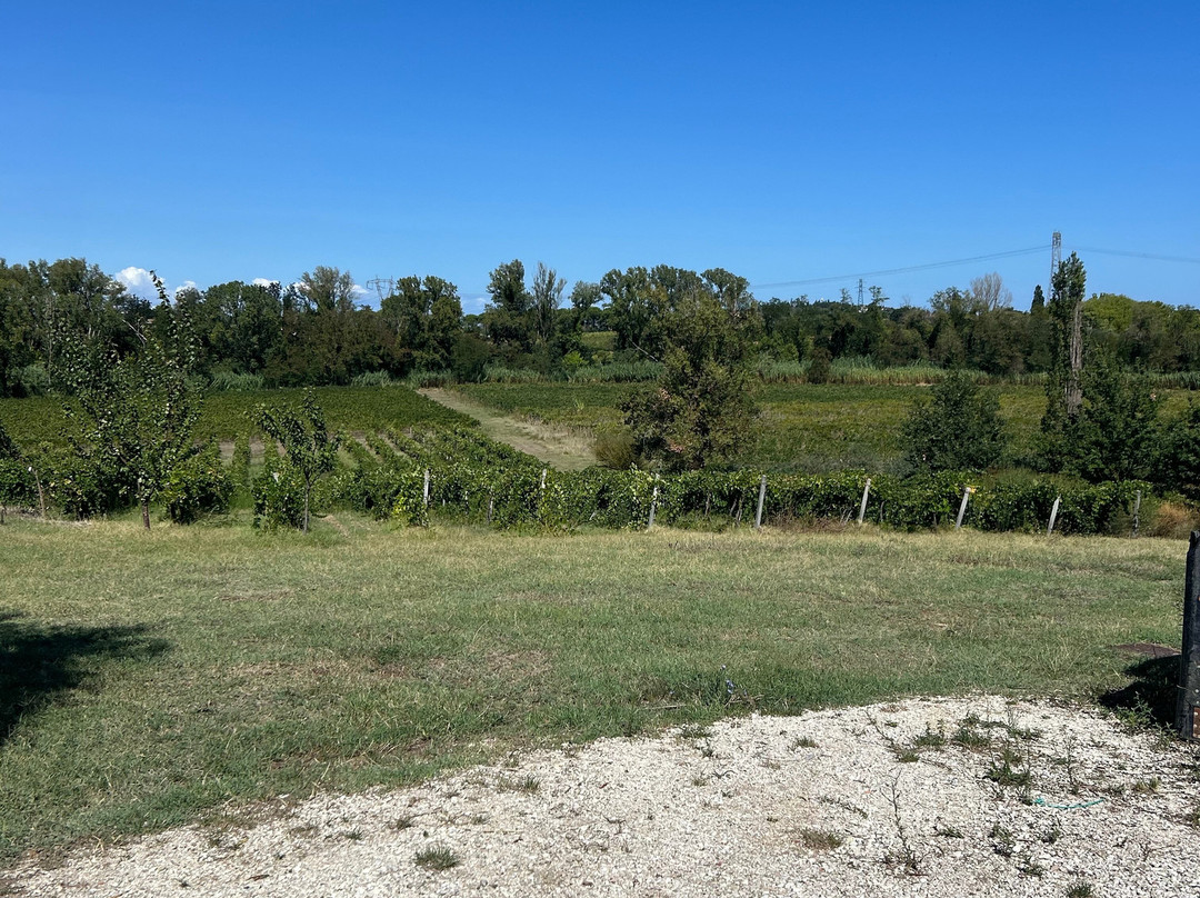 Agriturismo La Graziosa主图