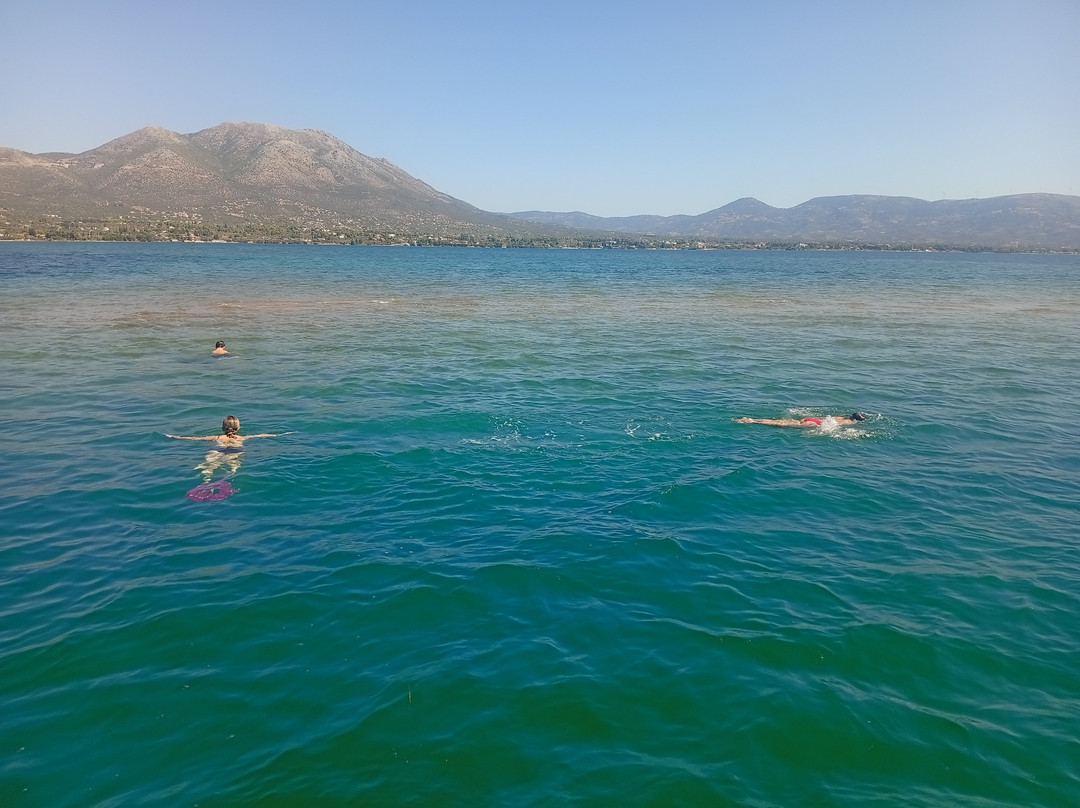 Evia Tours & Cruises-Khalkis必去景点