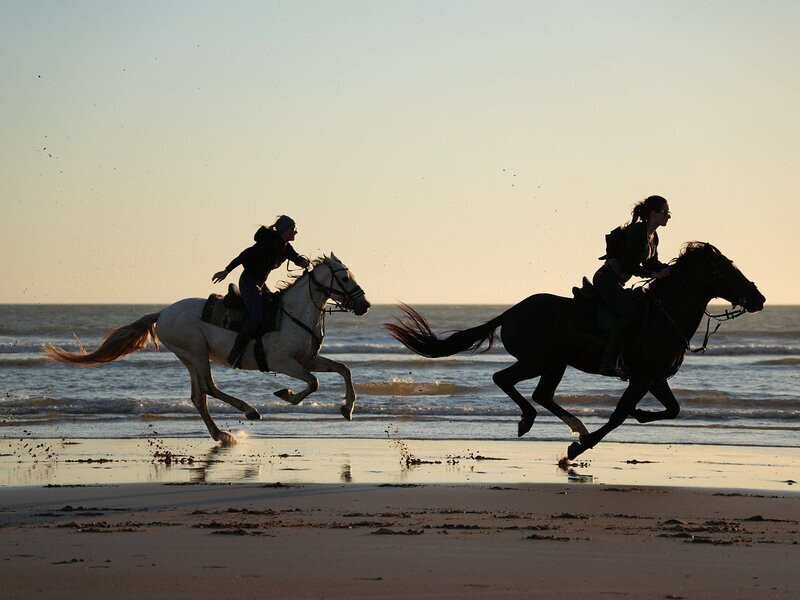 Amodou Cheval